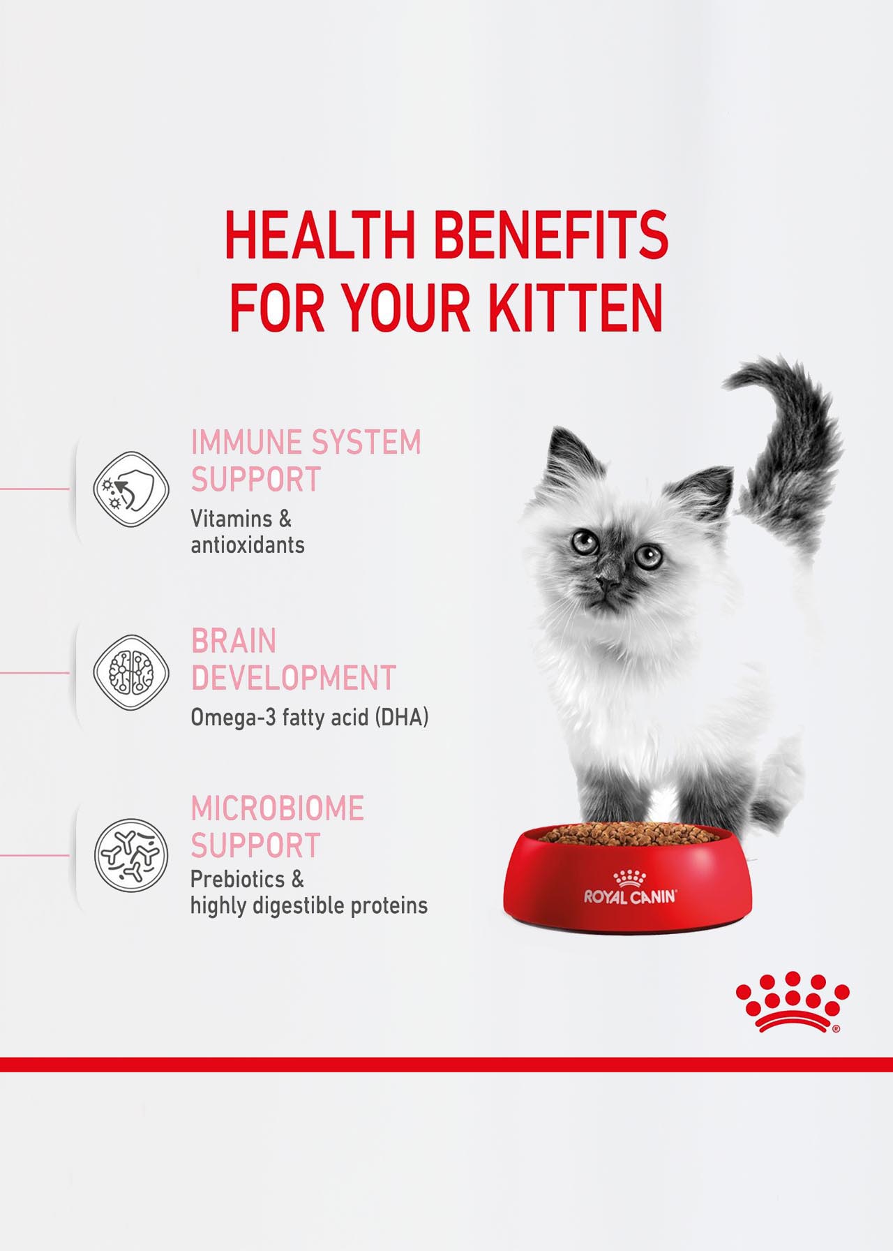 Royal Canin Dry Kitten Food 2kg