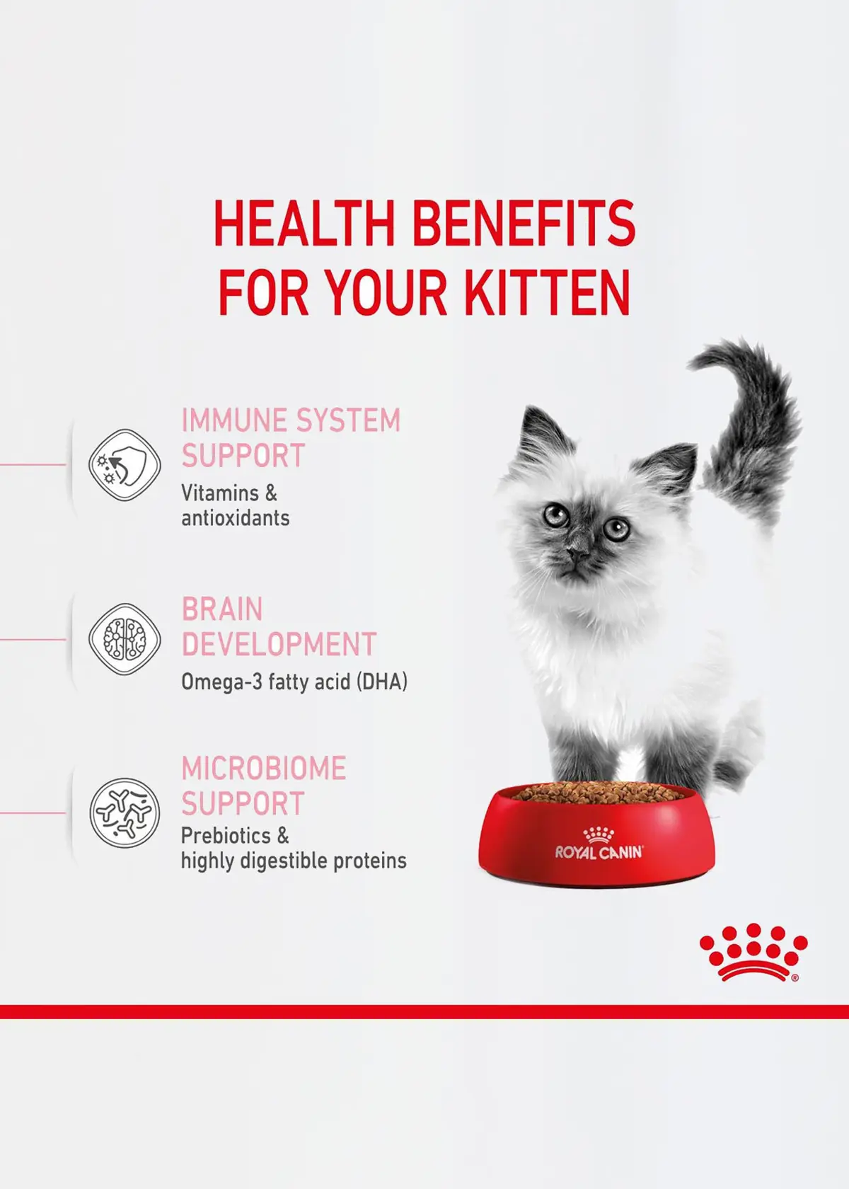 A photo of Royal Canin Dry Kitten Food 2kg