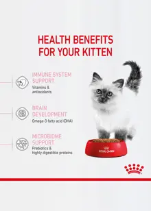 Royal Canin Dry Kitten Food 2kg