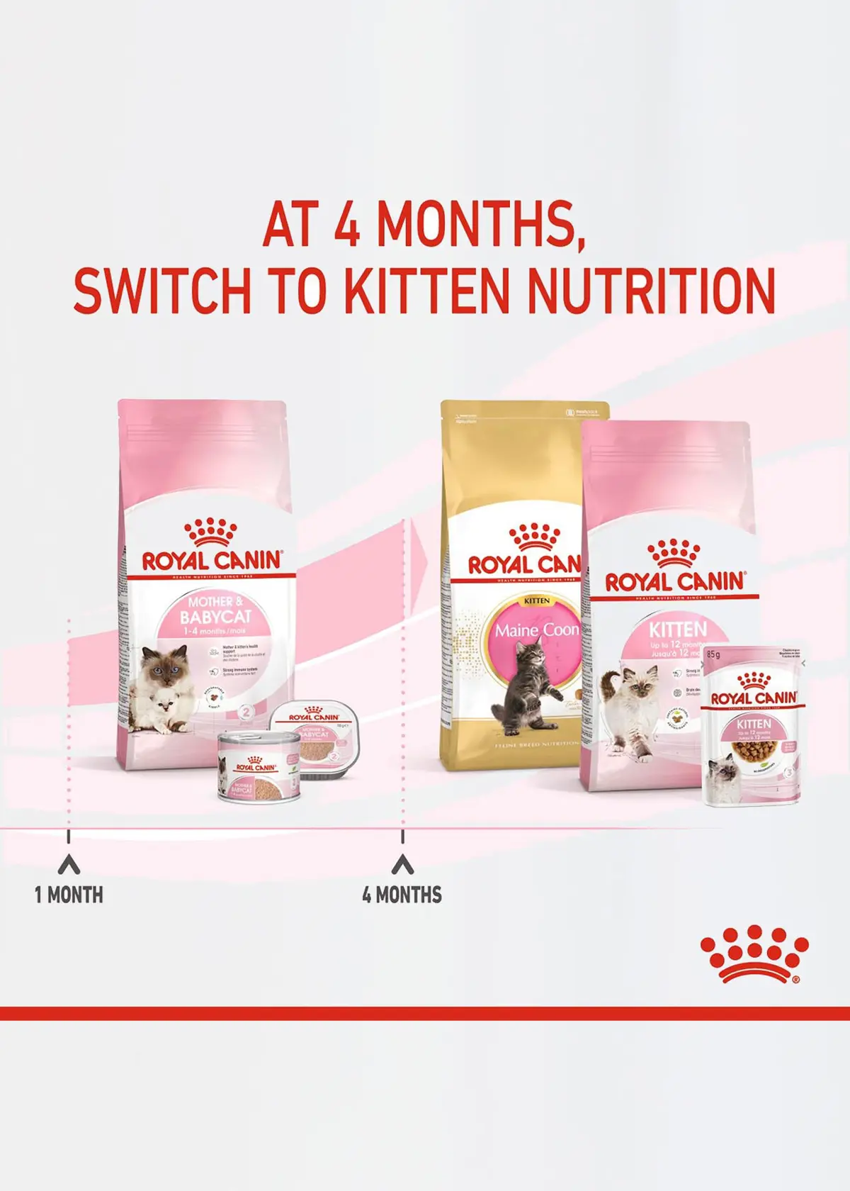 Royal Canin Mother & Baby Cat Dry Food 2kg