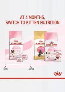 Royal Canin Mother & Baby Cat Dry Food 2kg
