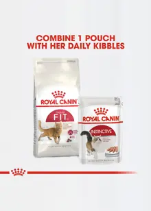 Royal Canin Fit 32 Adult Dry Cat Food 2kg