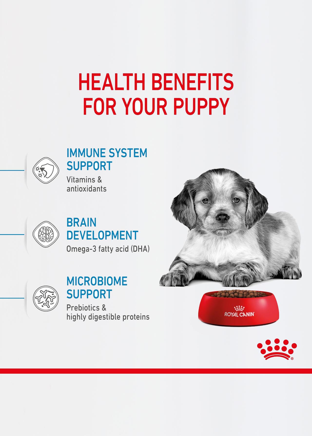 Royal Canin Dry Maxi Puppy Food 4kg