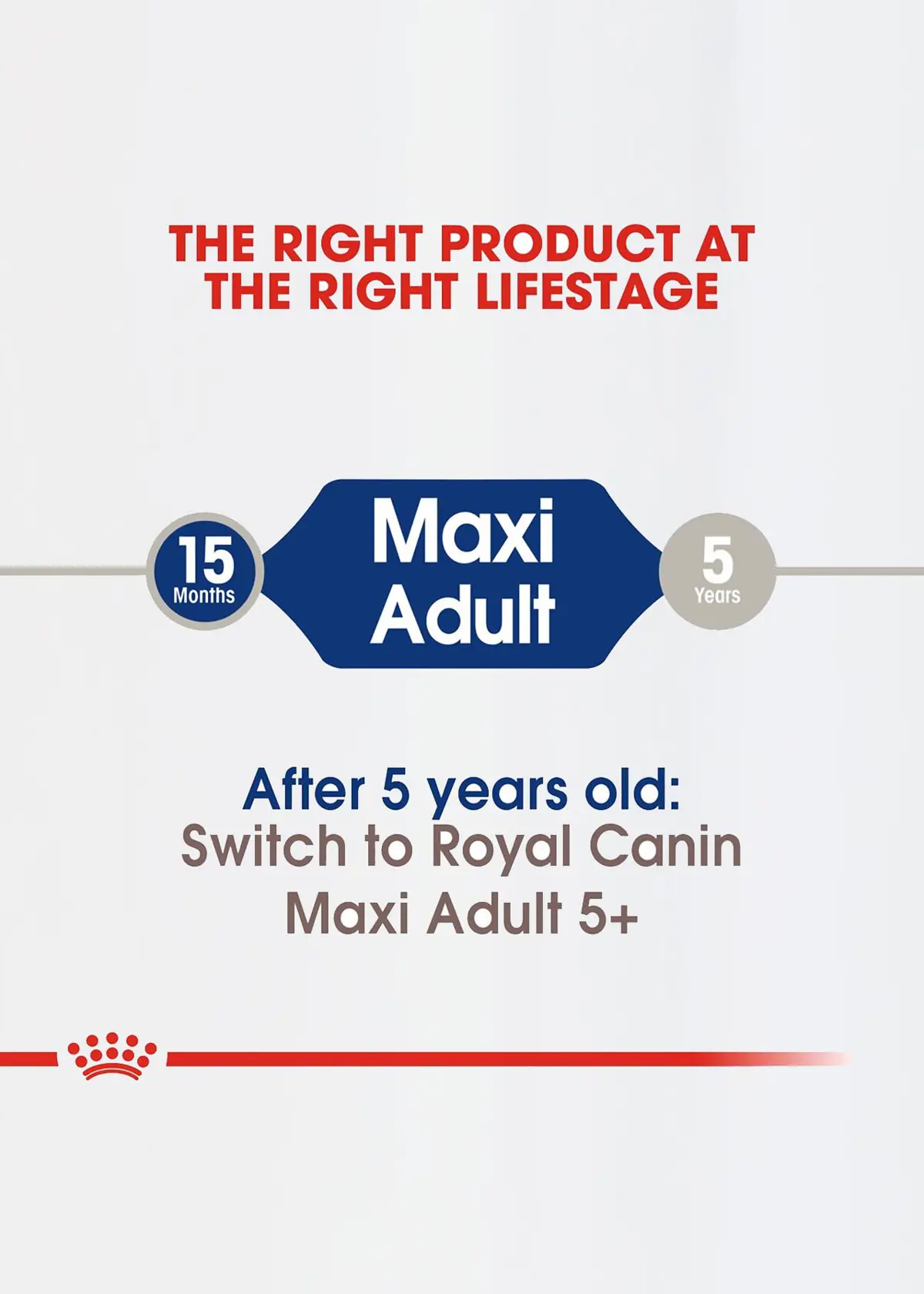A photo of Royal Canin Maxi Adult Dry Dog Food 15kg