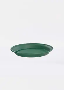 Multi-Purpose Saucer 25cm Green