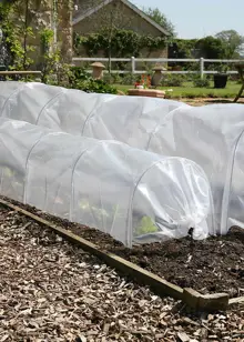 Standard Easy PolyTunnel