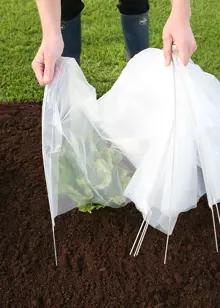 Standard Easy PolyTunnel