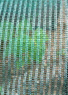 Standard Easy Net Tunnel