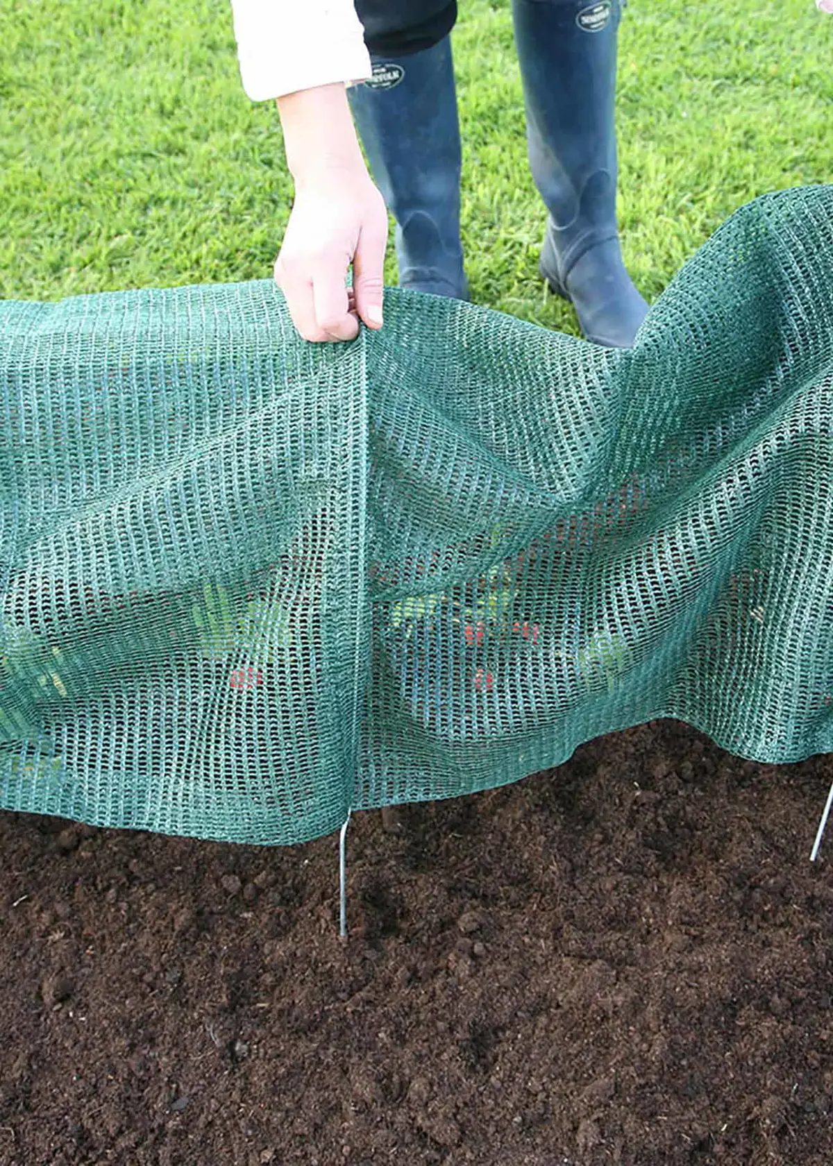 A photo of Standard Easy Net Tunnel