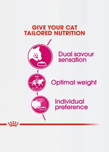 Royal Canin Savour Exigent Adult Dry Cat Food 400g