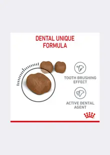 Royal Canin® Feline Dental Care Dry Cat Food 1.5kg