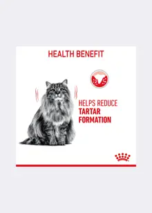 Royal Canin® Feline Dental Care Dry Cat Food 1.5kg