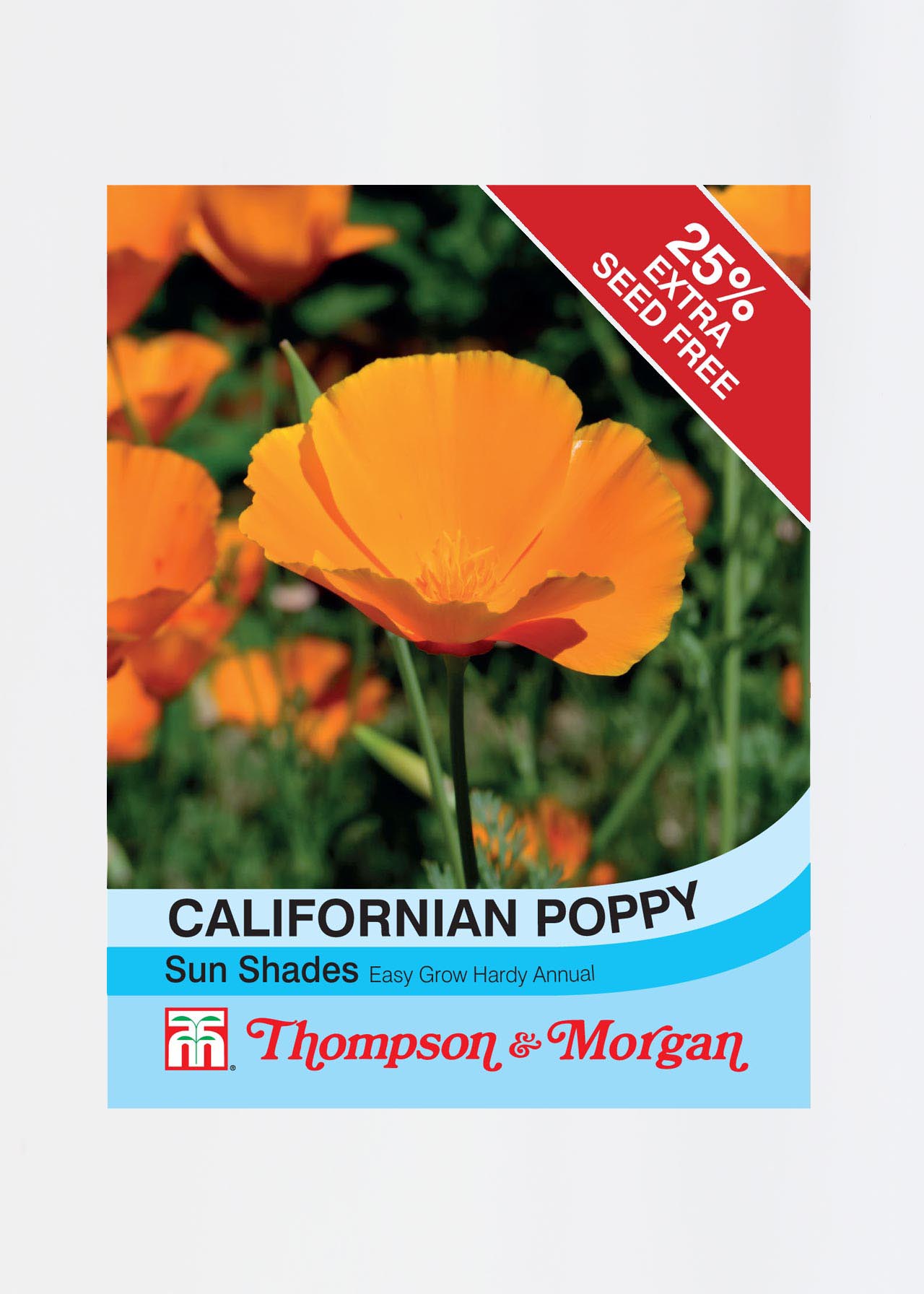 Californian Poppy Sun Shades Seeds Dobbies Garden Centres