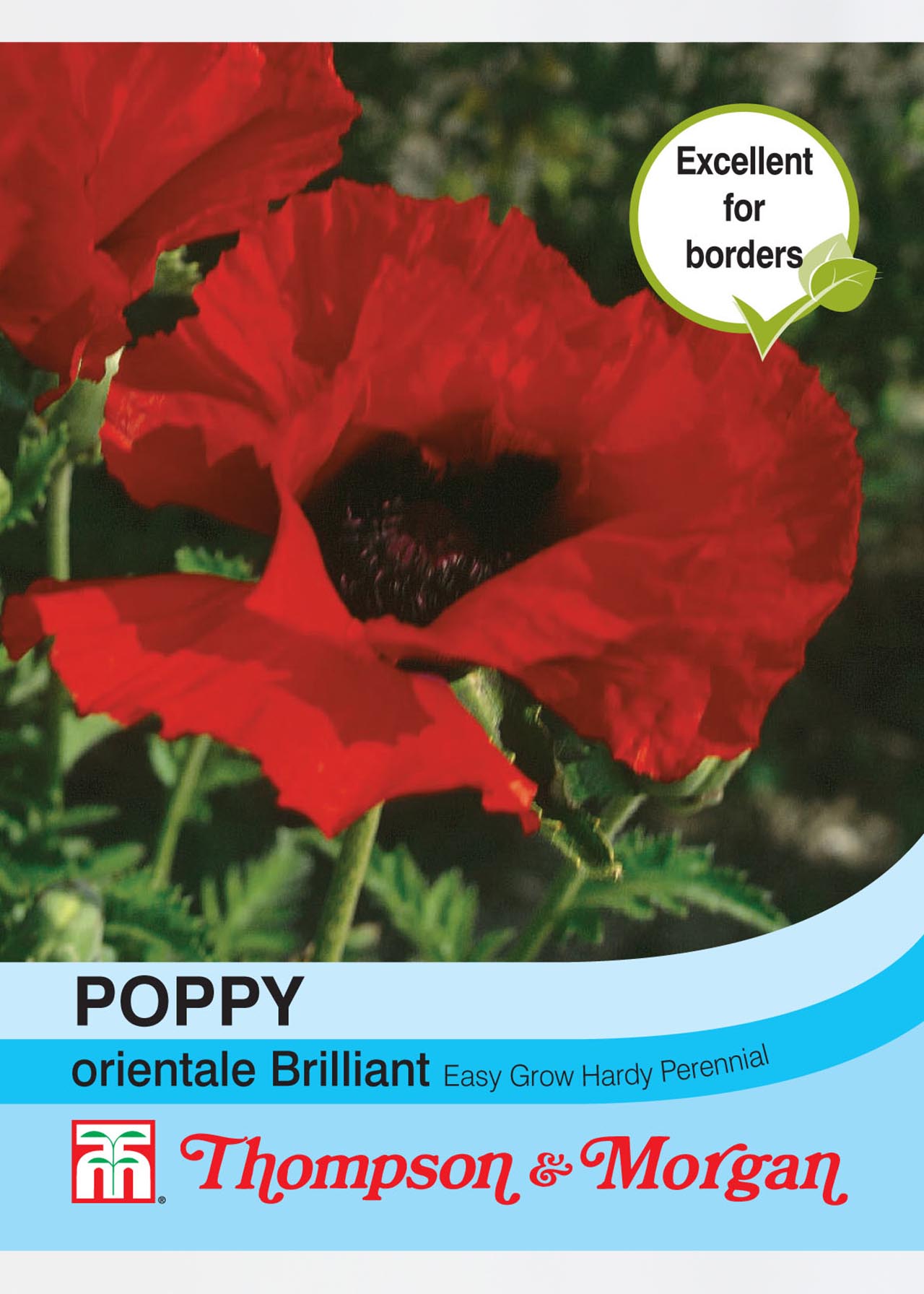 Poppy Orientale Brilliant Seeds Dobbies Garden Centres