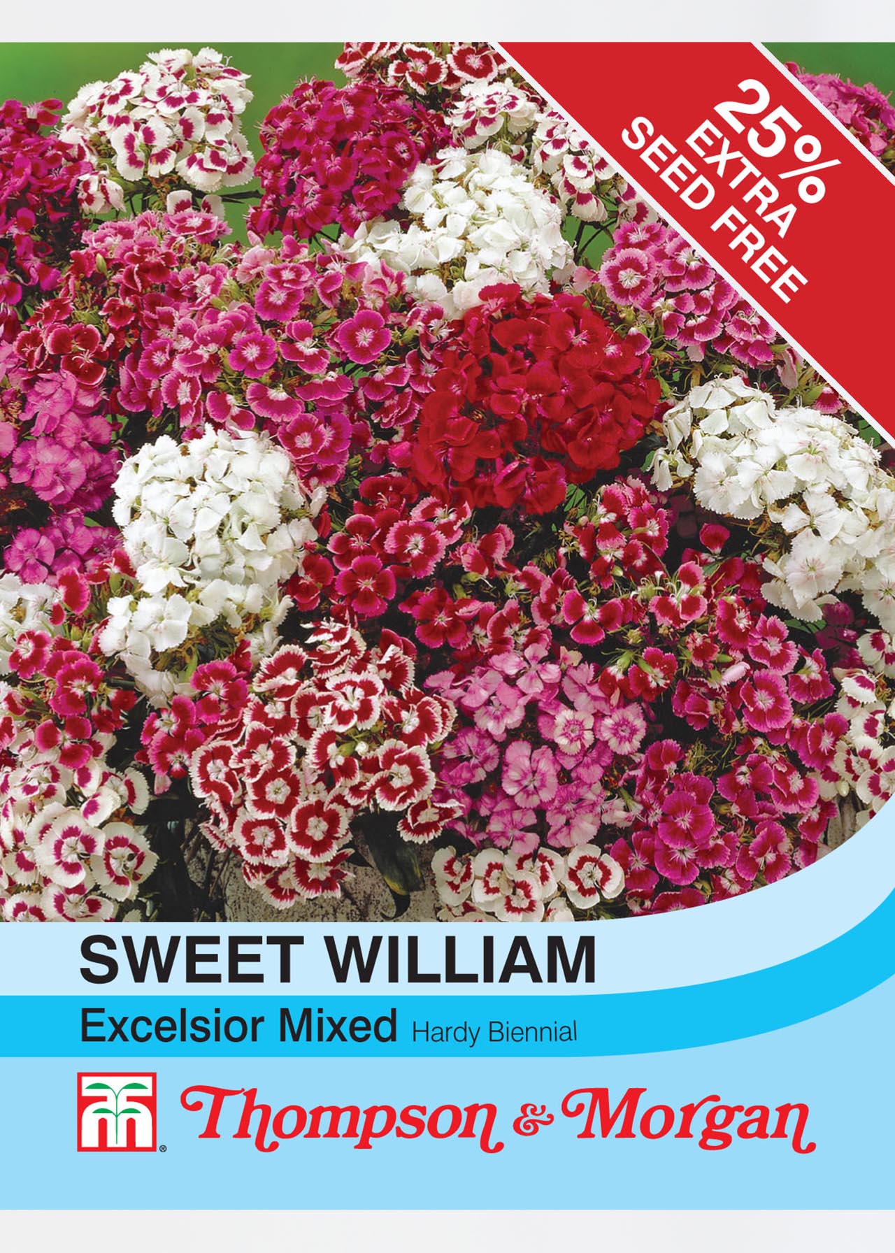 Sweet William Excelsior Mixed Seeds Dobbies Garden Centres