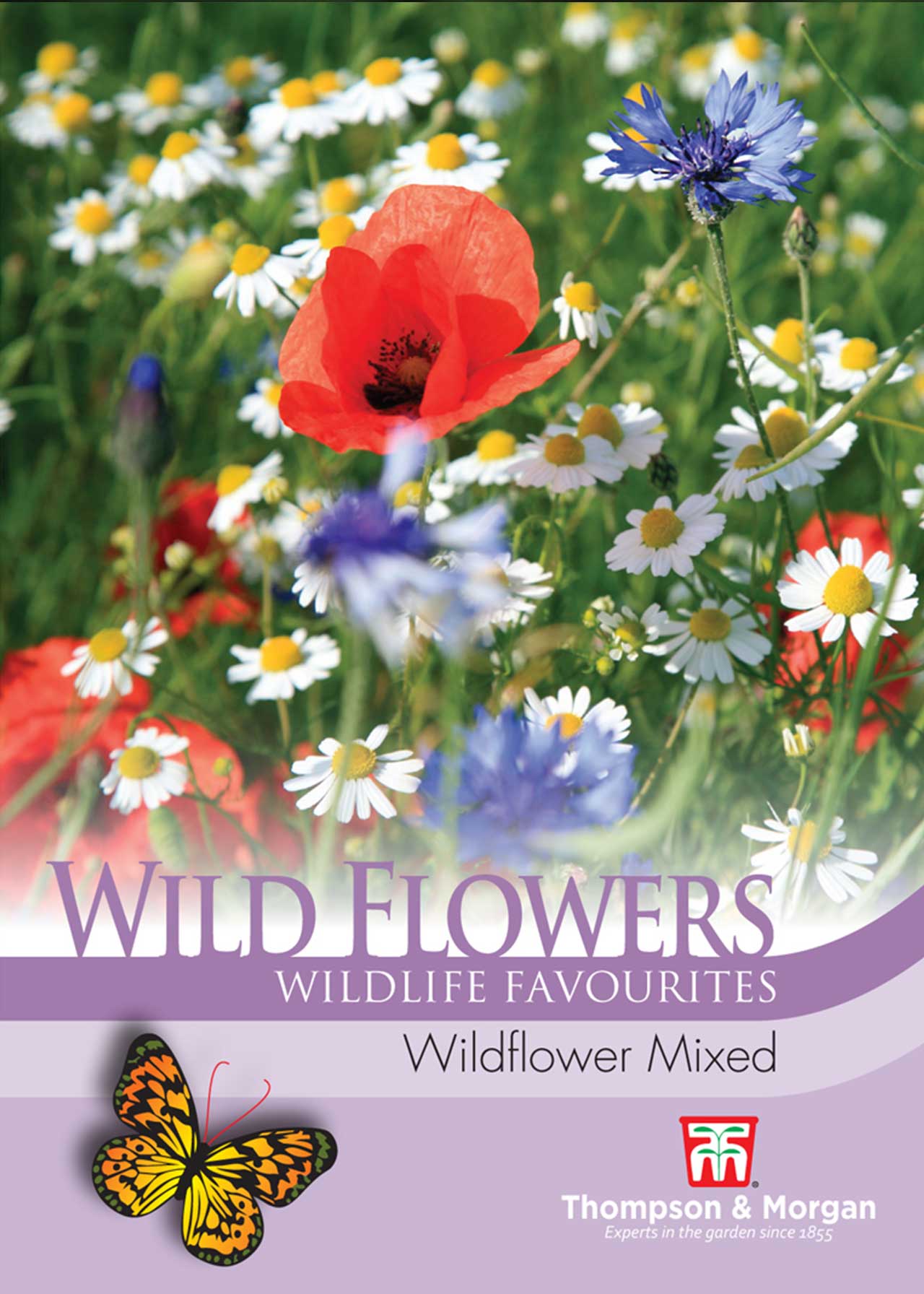 Wild Flower Mixture Seeds Dobbies Garden Centres