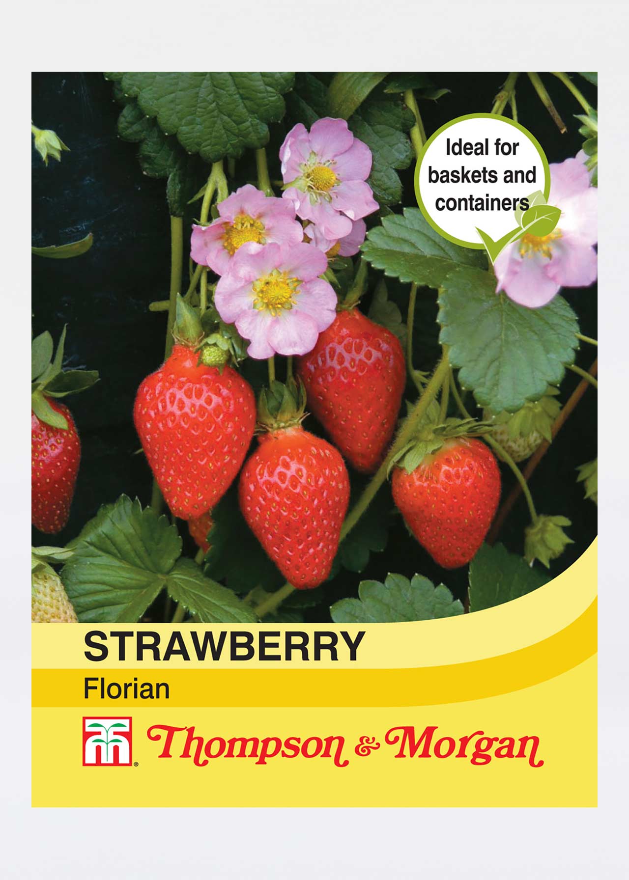 Strawberry Florian F1 Hybrid Seeds Dobbies Garden Centres