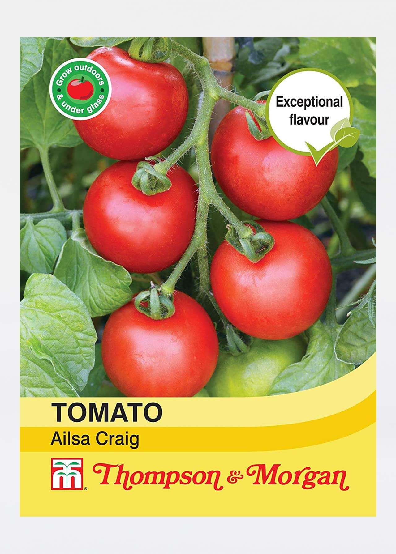 Tomato Ailsa Craig Seeds Dobbies Garden Centres