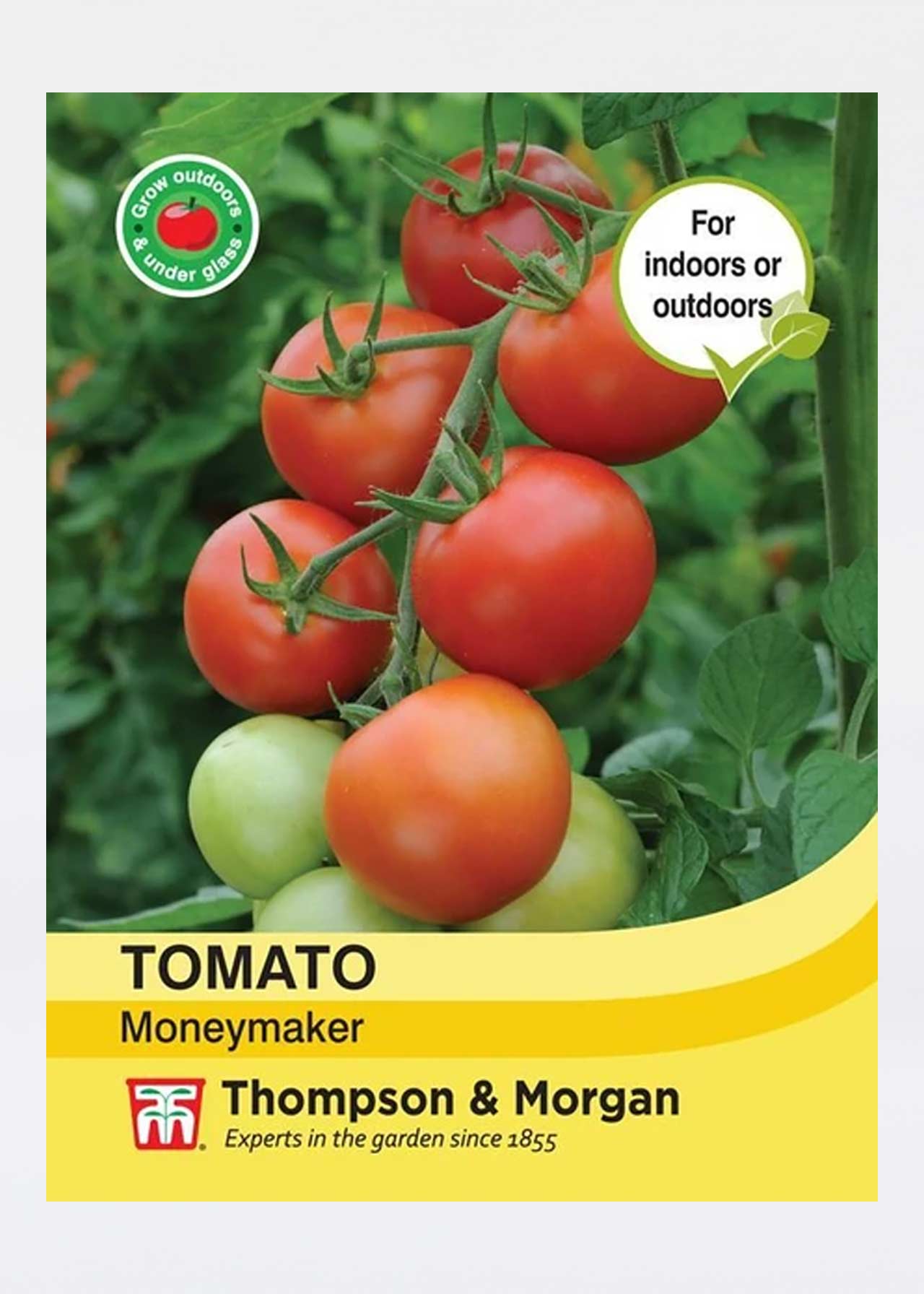 Tomato Moneymaker Seeds Dobbies Garden Centres