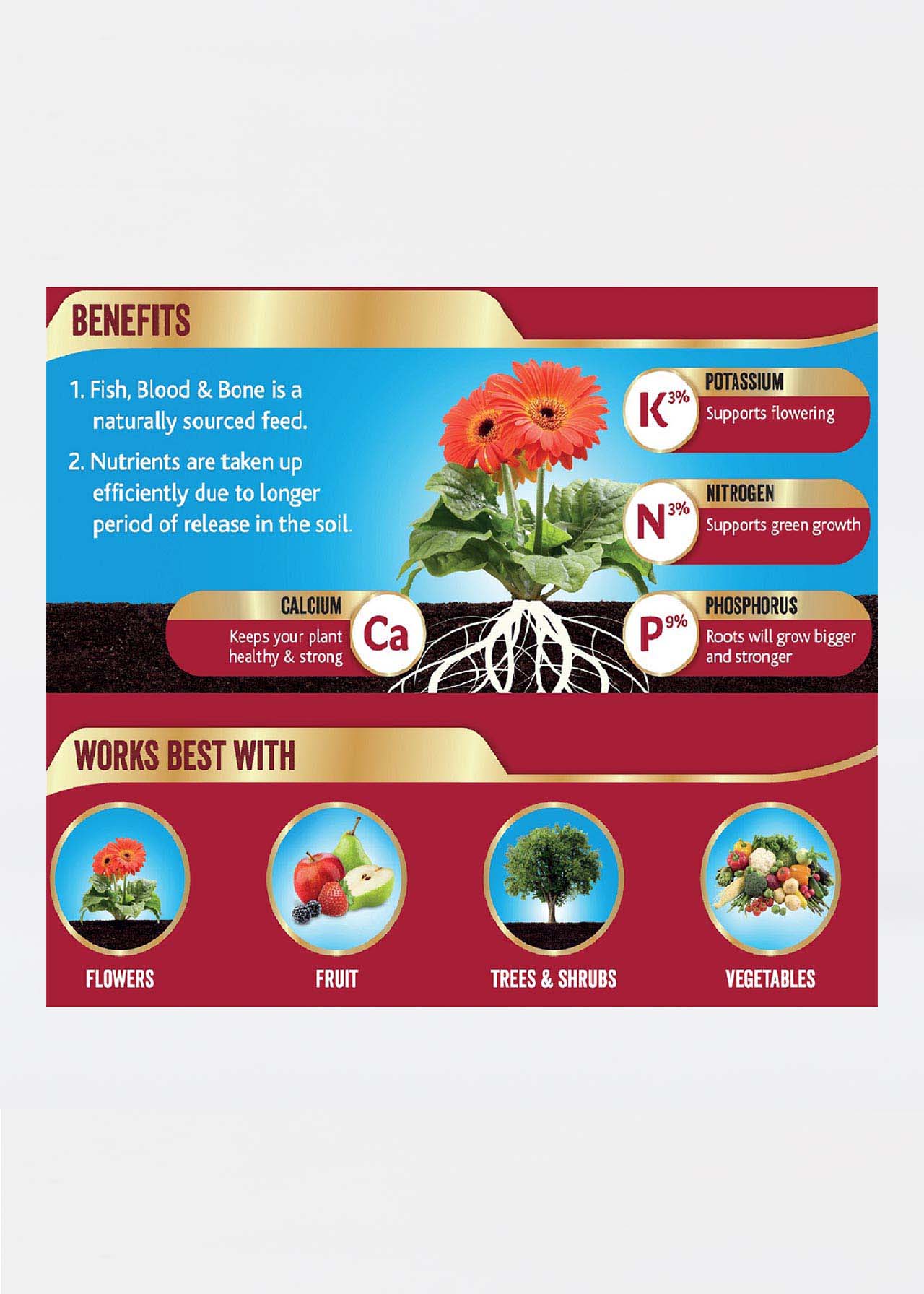 1.5kg Fish Blood Bone Dobbies Garden Centres