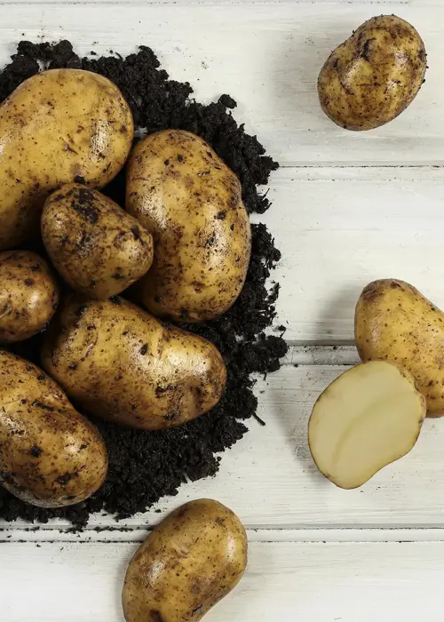 A photo of Seed Potato International Kidney 2kg