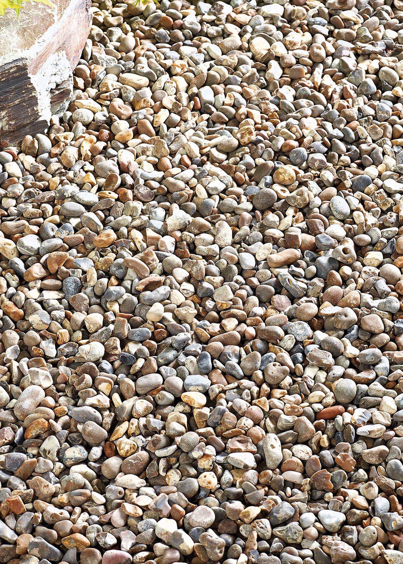 Kelkay Oyster Pearl Pebbles, Bulk Bag | Dobbies Garden Centres