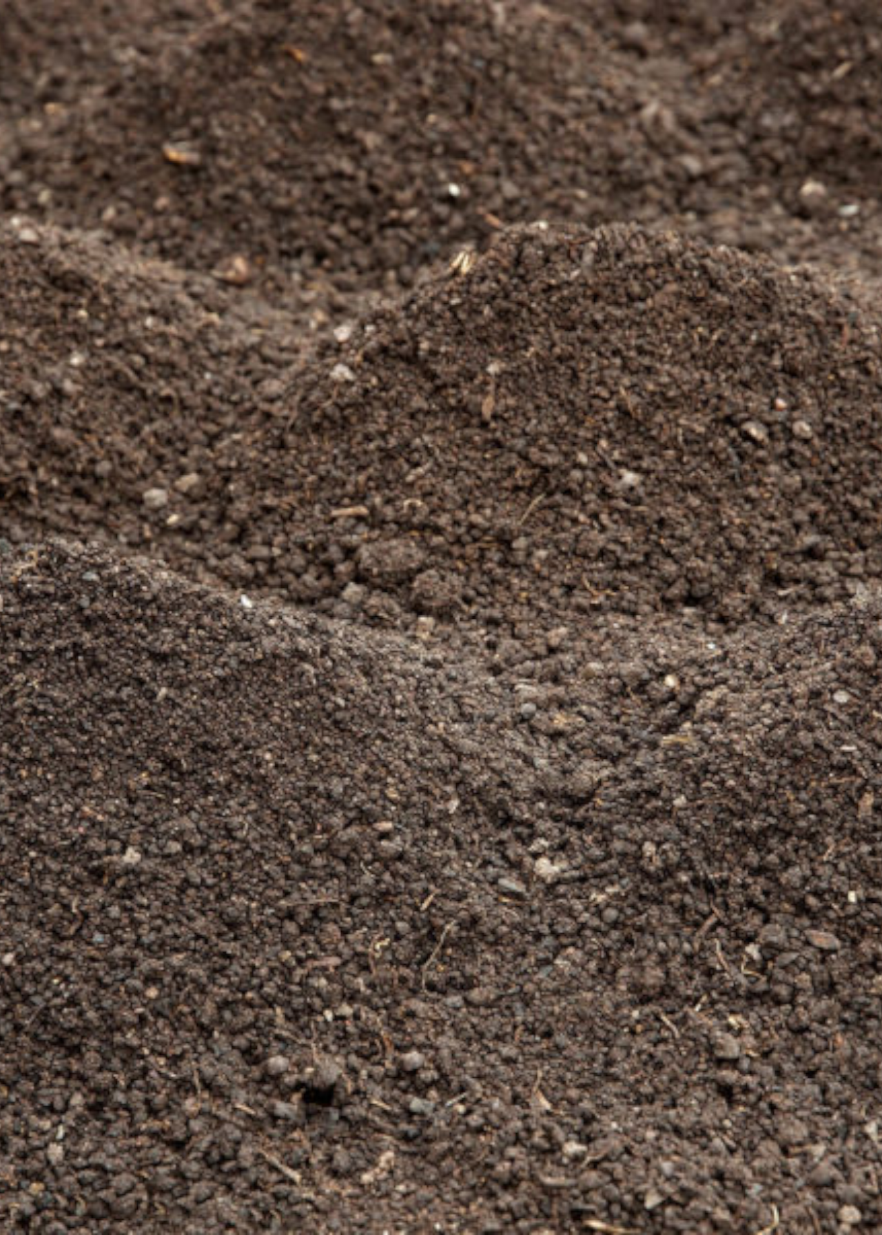 Harrowden Premium Screened Topsoil
