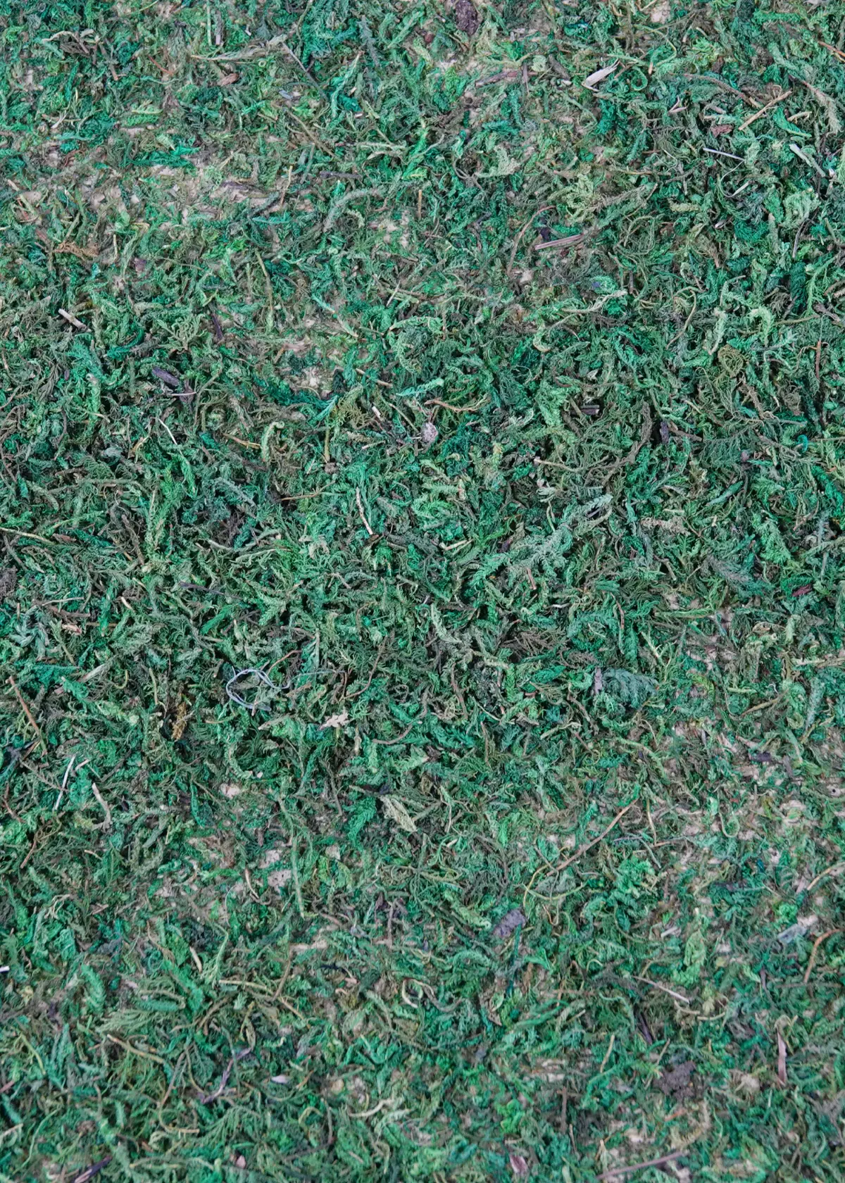 A photo of Moss Base Mat for Christmas Village 30x20cm Green