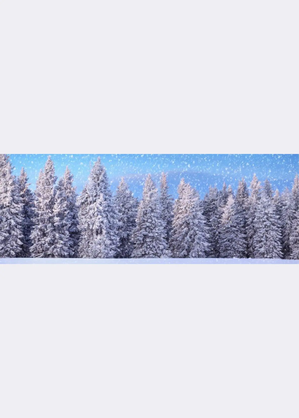 A photo of Double-Sided Wintersport Background Sheet 100x35cm