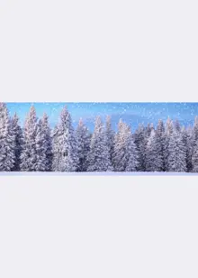 Double-Sided Wintersport Background Sheet 100x35cm