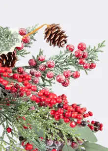 Frosted Red Berry Artificial Wreath 50cm