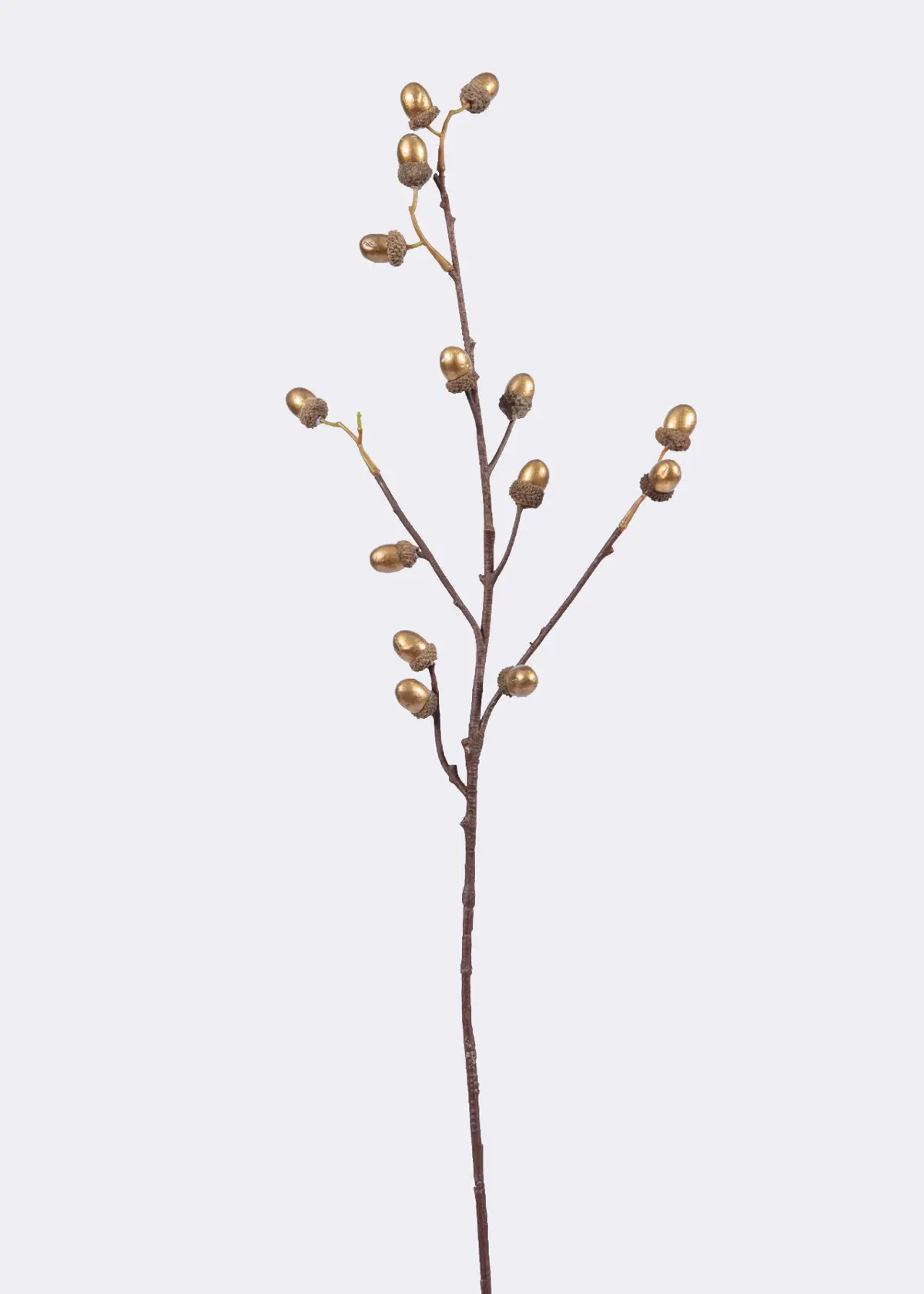 A photo of Gold Foam Acorn Stem 73cm