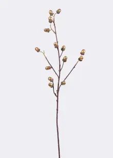 Gold Foam Acorn Stem 73cm