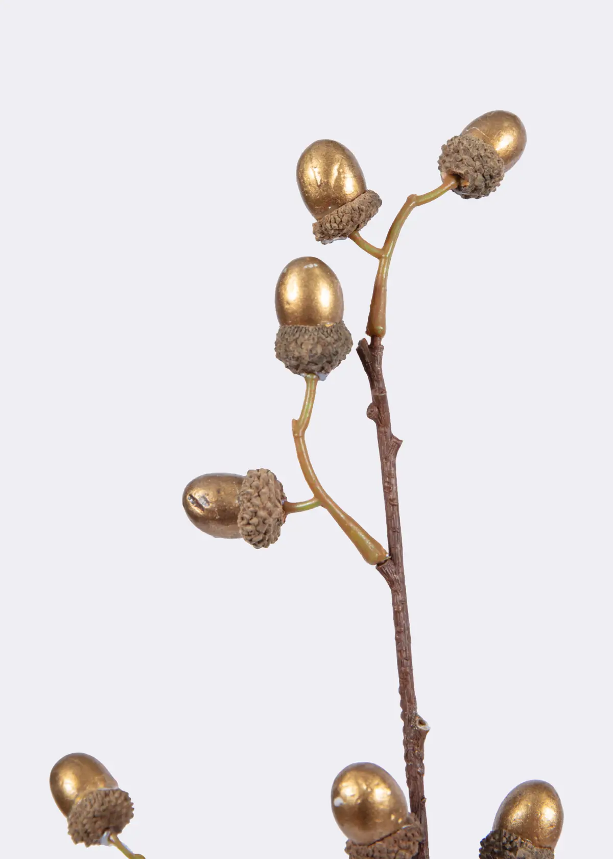 A photo of Gold Foam Acorn Stem 73cm