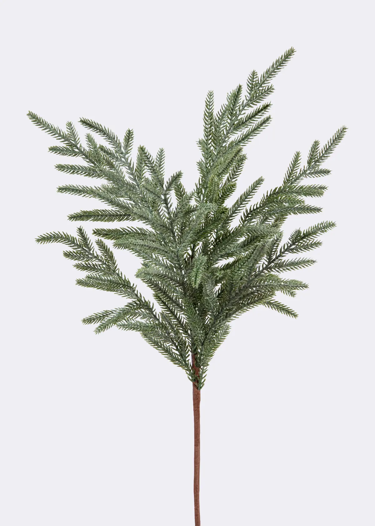 A photo of Faux Frosted Fir Spray Stem 61cm