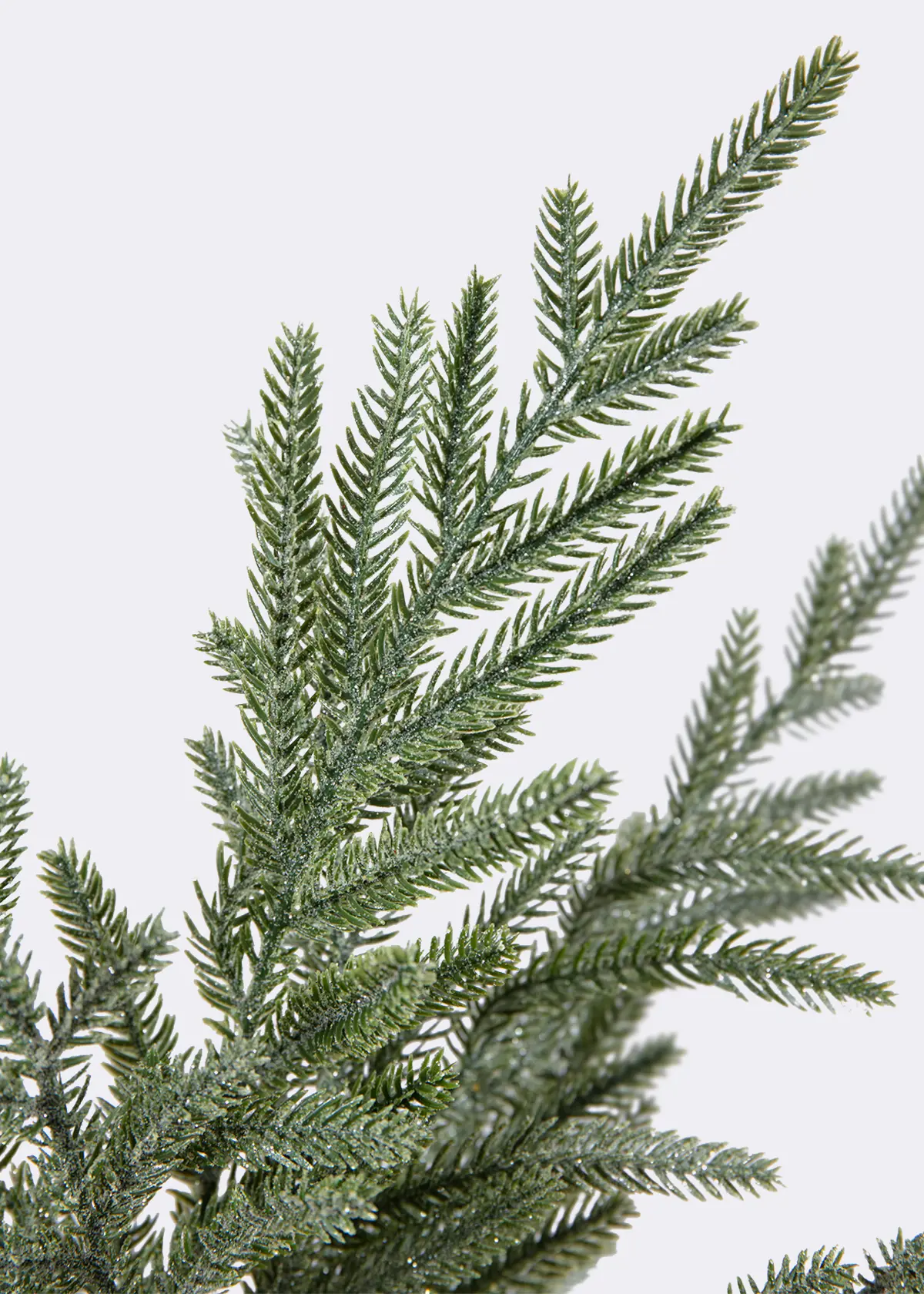 A photo of Faux Frosted Fir Spray Stem 61cm