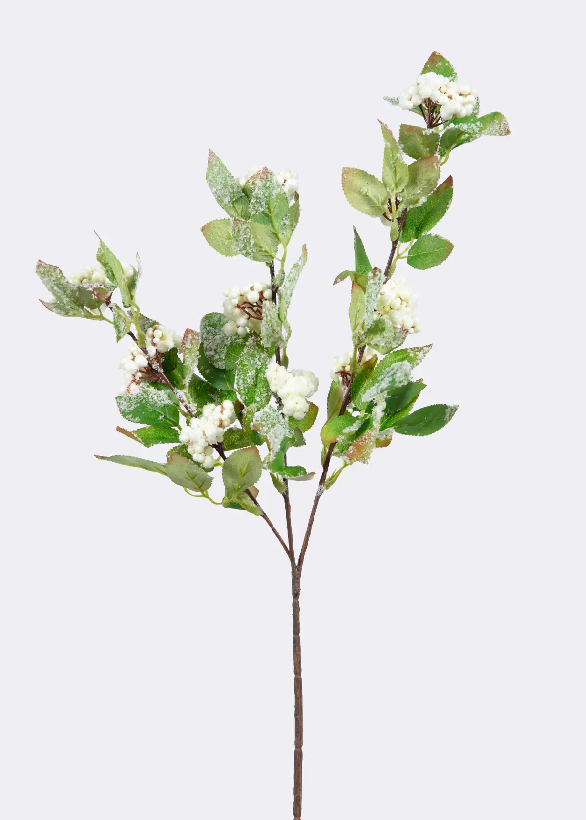 A photo of Faux White Berries With Silver Tipped Foliage Stem 65cm