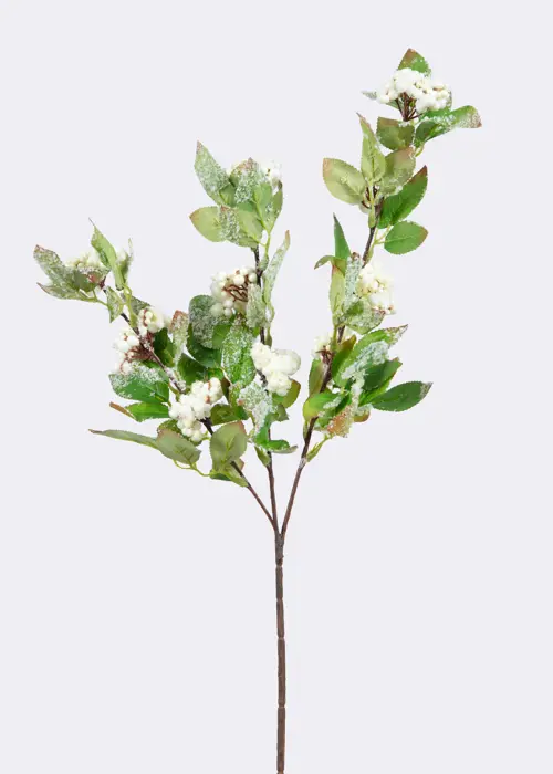 A photo of Faux White Berries With Silver Tipped Foliage Stem 65cm