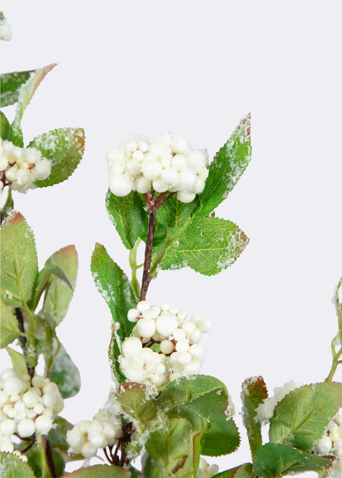 A photo of Faux White Berries With Silver Tipped Foliage Stem 65cm