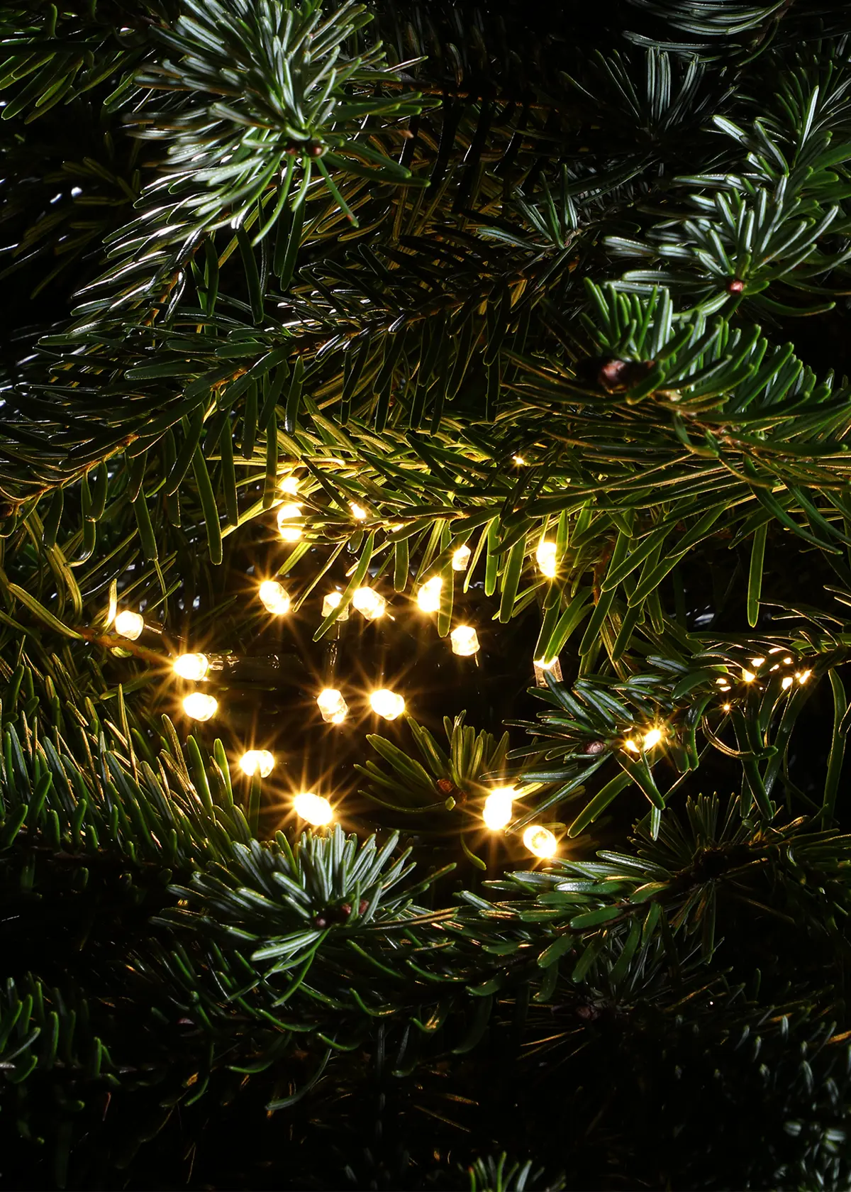 A photo of 480 Warm White Multifunction String Lights