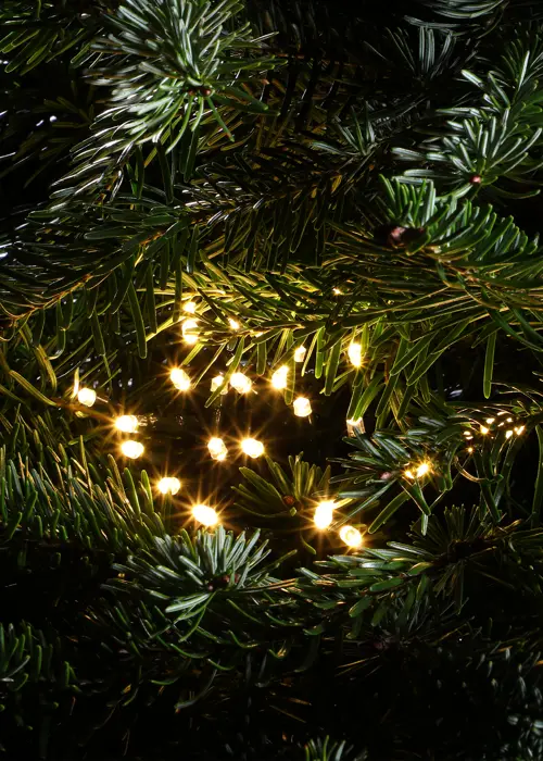 A photo of 1000 Warm White Multifunction String Lights