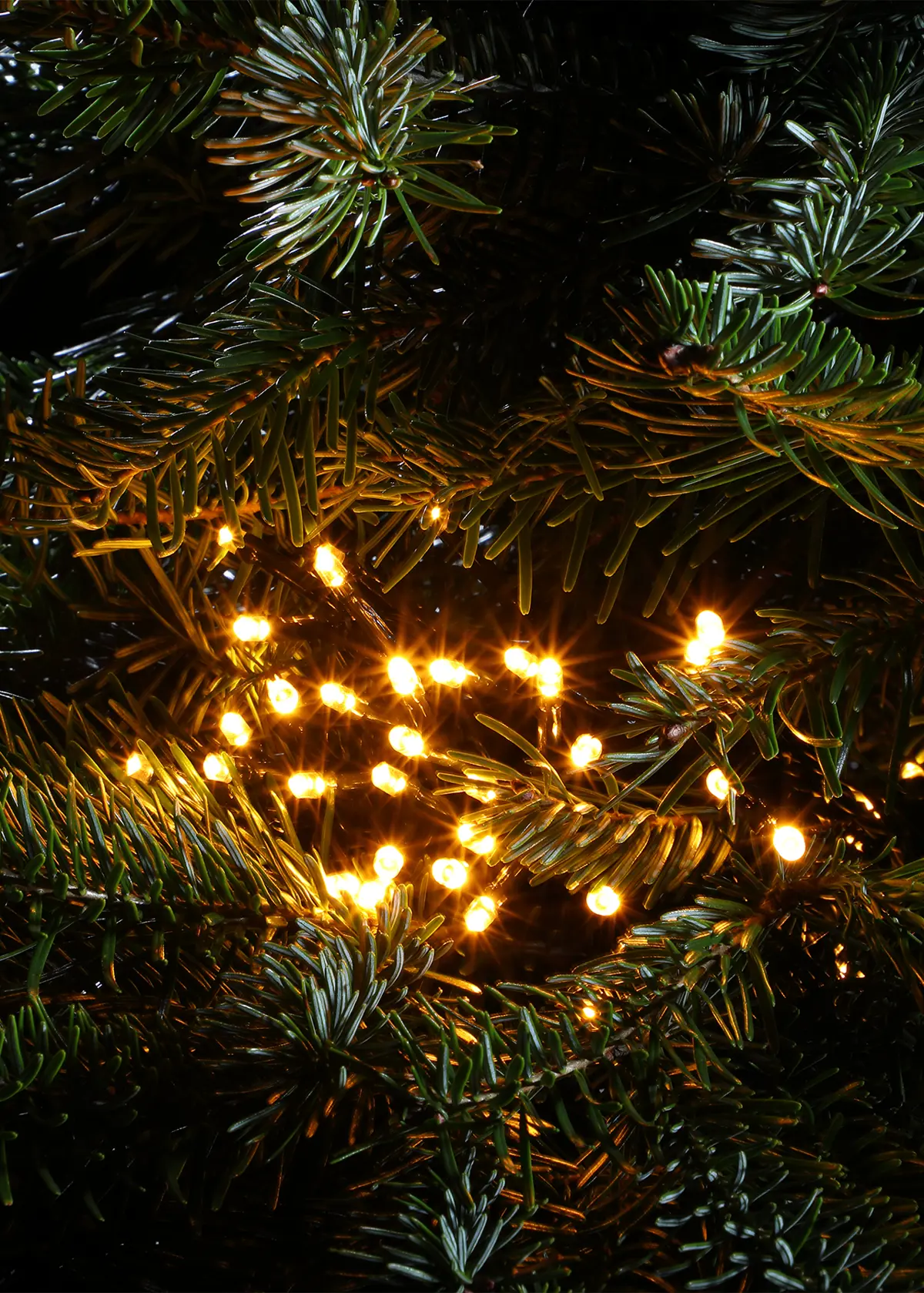 A photo of 240 Antique White Multifunction String Lights