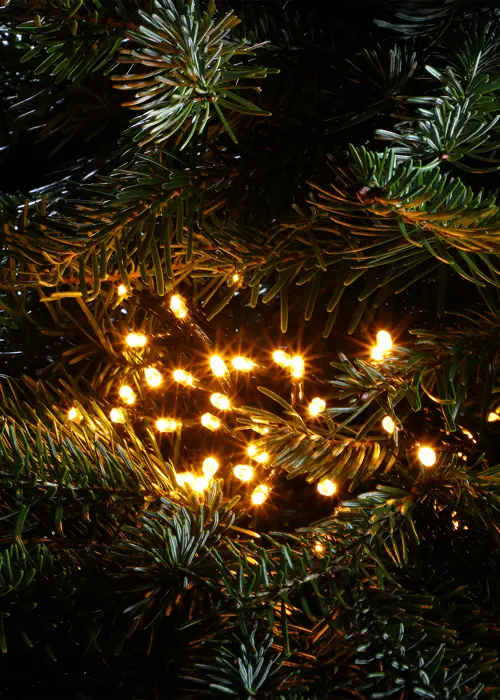 A photo of 240 Antique White Multifunction String Lights