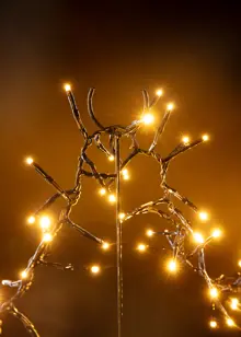 480 Warm White Multifunction Cluster Stake Lights