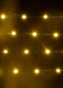 200 Warm White Flexi Wire String Lights