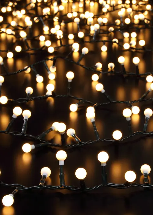A photo of 480 Decor Warm White Berry String Lights