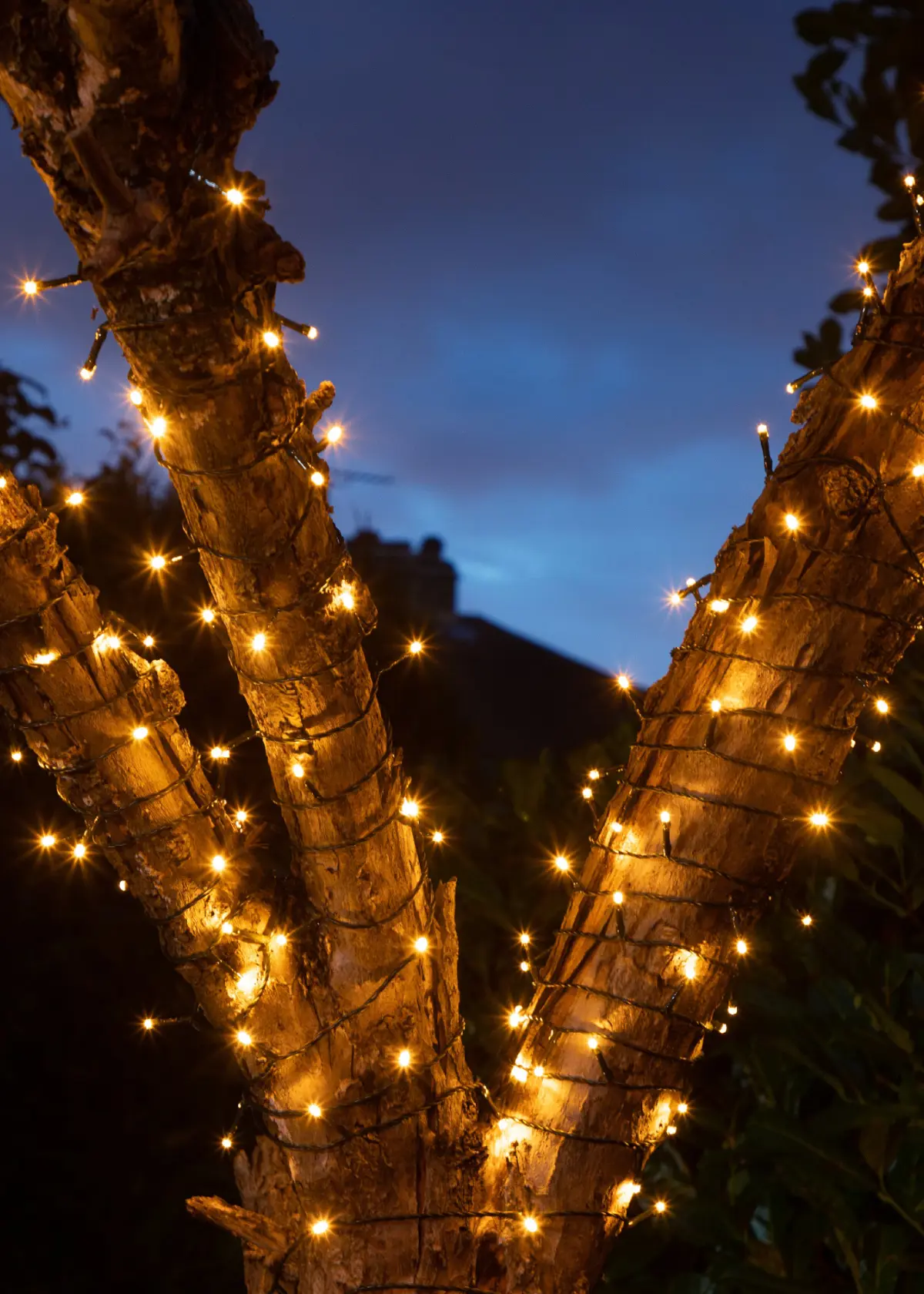 A photo of 600 Battery Operated Warm White Multifunction String Lights