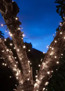 200 Battery Operated White Multifunction String Lights