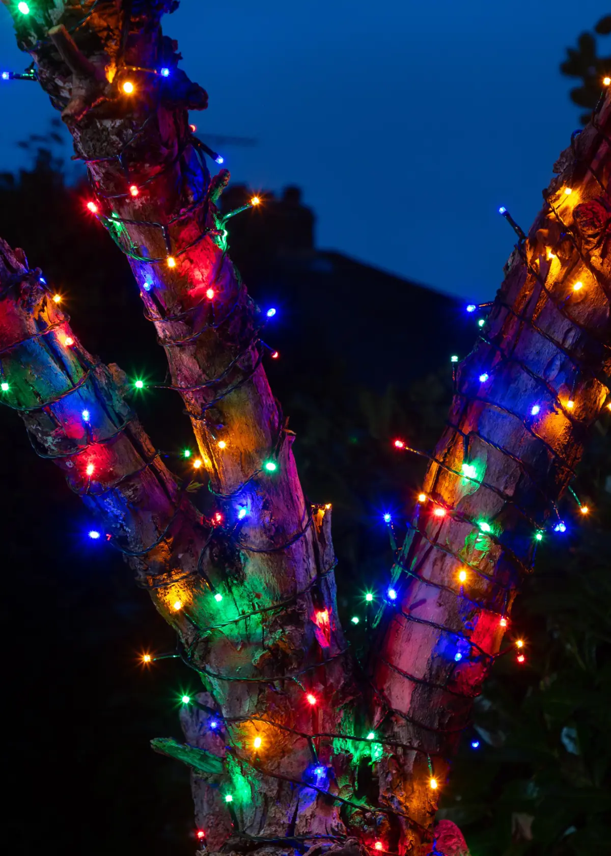 A photo of 50 Multi-colour Multifunction Battery String Lights