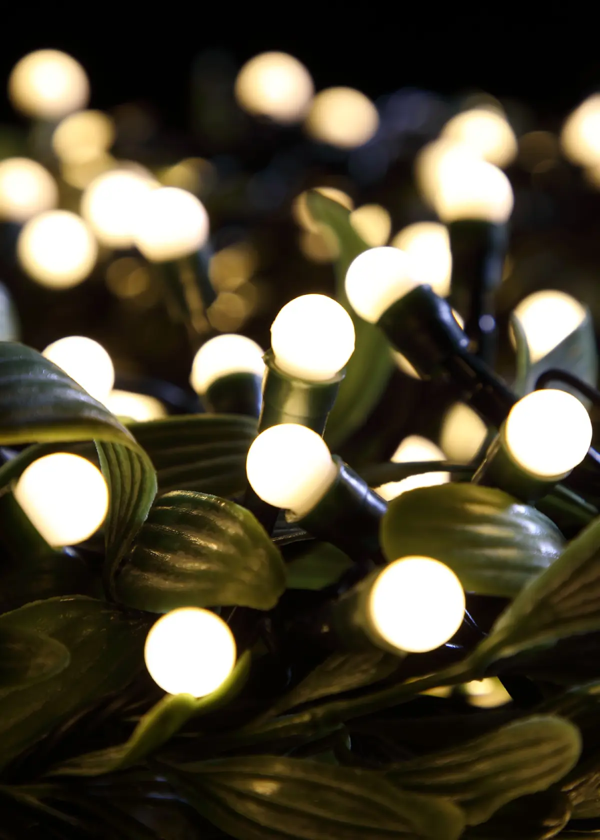 A photo of 100 Warm White Multifunction Berry String Lights Battery